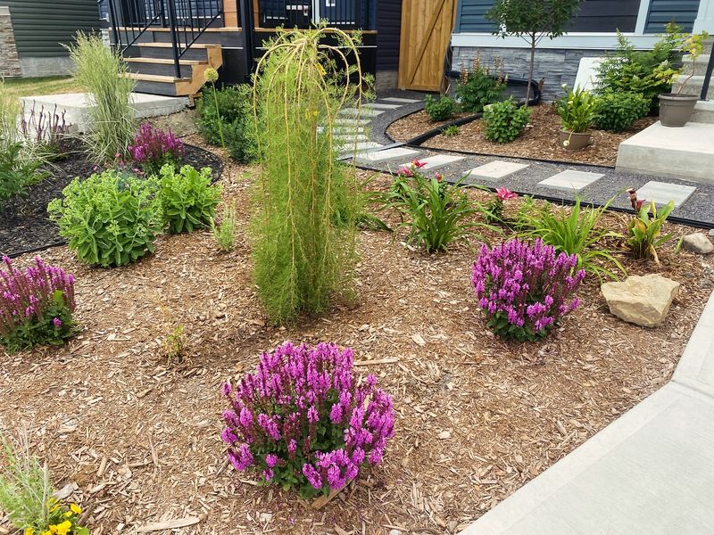 Low-Maintenance Landscapes Are Replacing High-Upkeep Designs