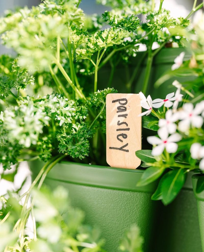 Personalized Plant Marker Sets