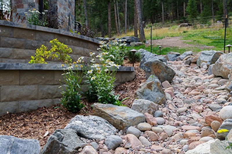 Drought-Tolerant Xeriscaping Conserves Water