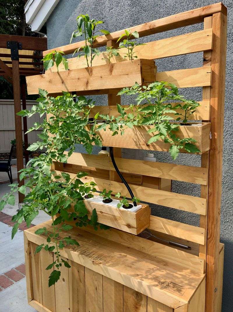 Vertical Gardens Maximizing Small Spaces