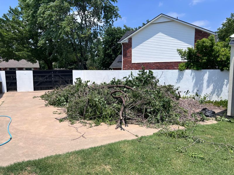 Illegal Dumping Of Yard Debris