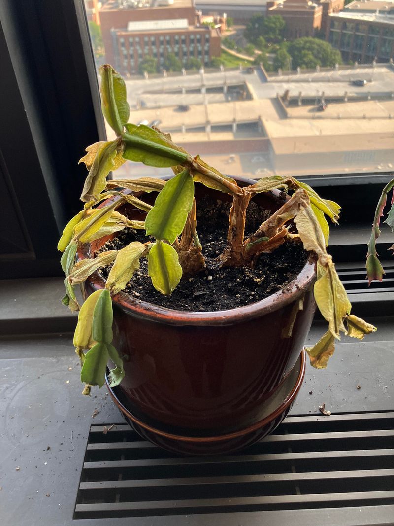 Sudden Temperature Changes