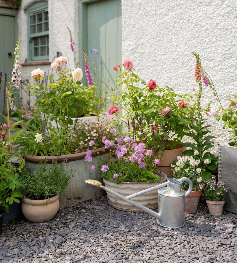 Balancing Watering In Windy City Settings