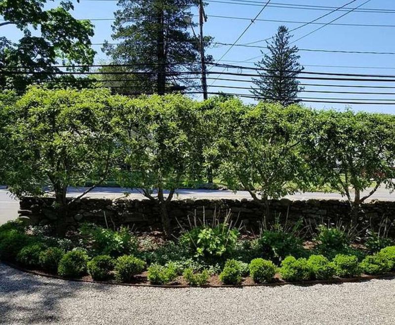 Alternative Solutions Besides Trimming