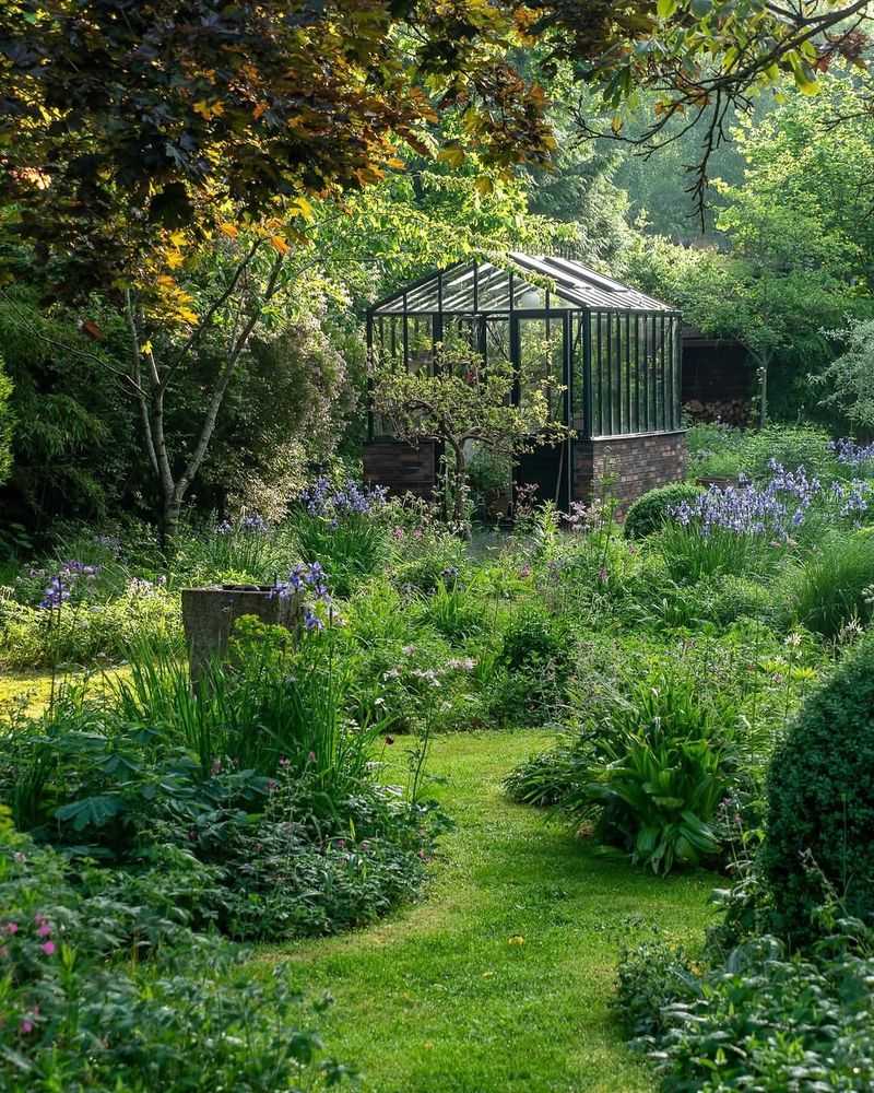 Grass Pathway With Mown Edges