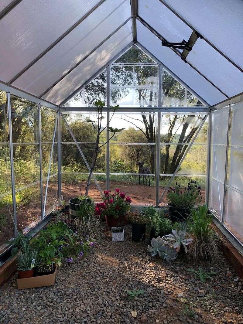 Set Up Irrigation And Watering Systems