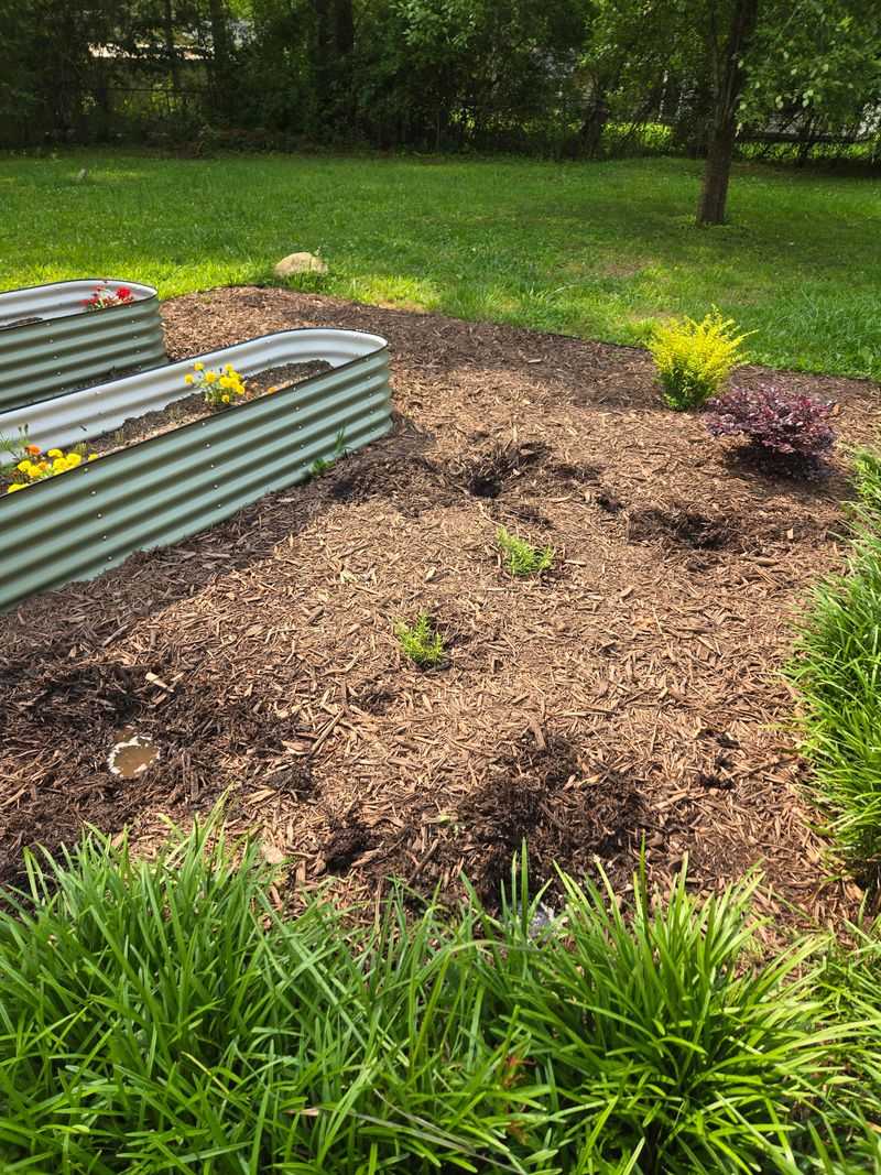 Check Drainage After Winter Rains