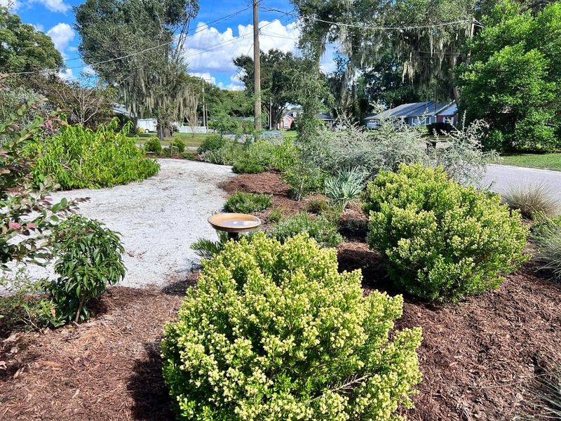 What Storm-Ready Yards Have In Common