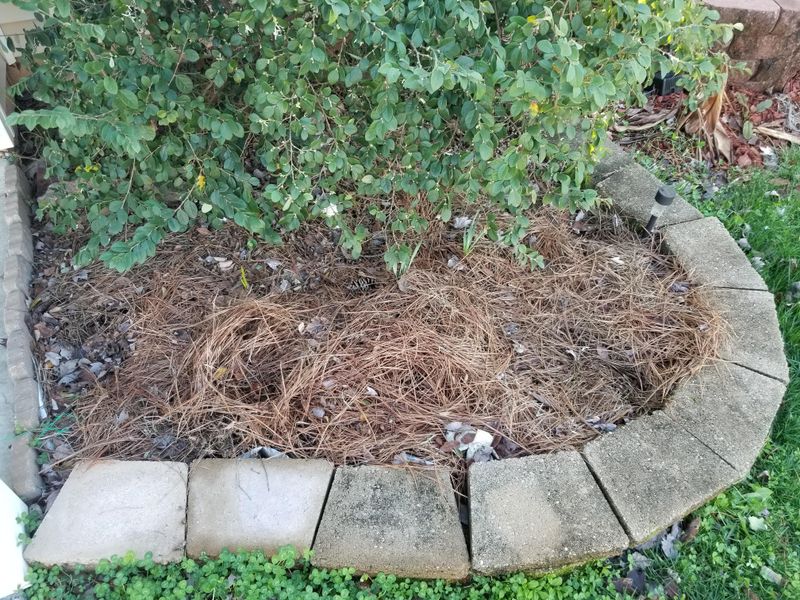 Keeping Weeds Under Control Without Chemicals