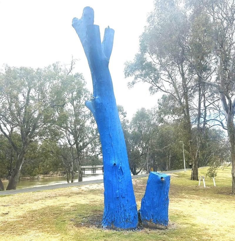 Reduces Stress On Young And Newly Planted Trees