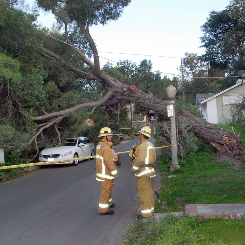 Damage On Your Side Is Usually Yours To Handle First