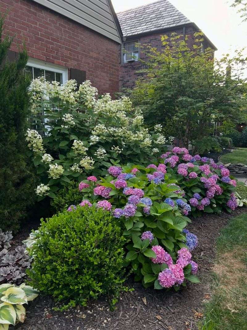 Plan Fertilizing For Early Spring, Not February