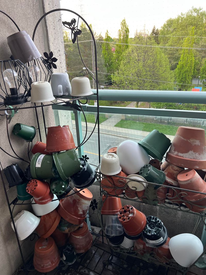 Clean And Disinfect Pots And Trays