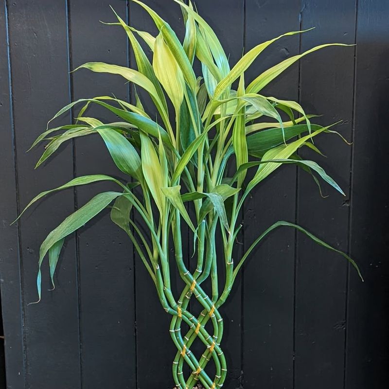 Monitor And Boost Humidity Levels