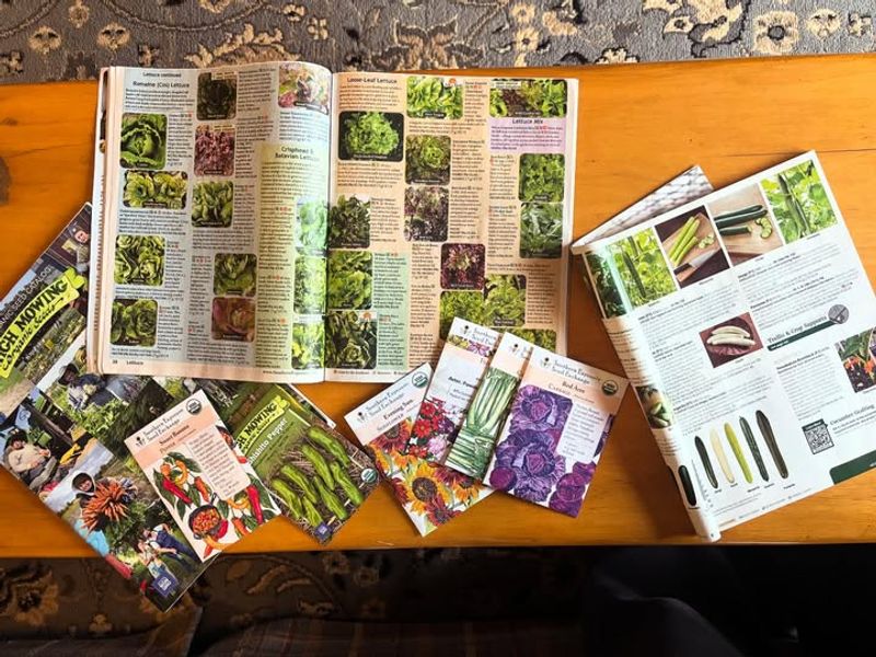 Plan And Order Seeds For Spring