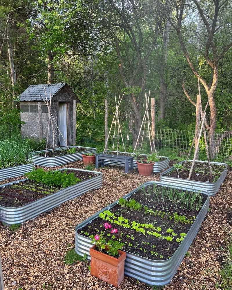 Plan This Year's Garden Layout While Beds Are Visible