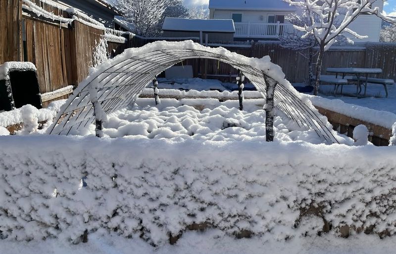 Suppressing Weed Seed Germination During Cold Months