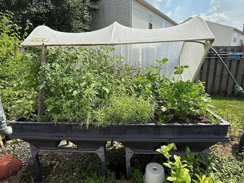 Keeping Pests Away From Precious Crops