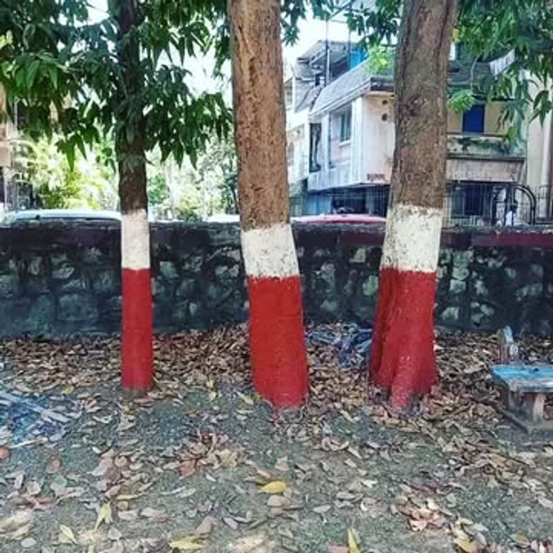 Reduces Extreme Day–Night Temperature Stress