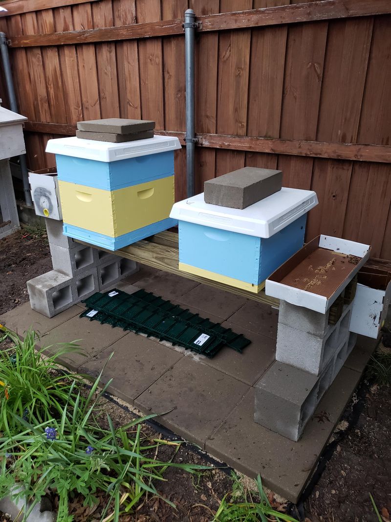 Install Flight Barriers Around Hives