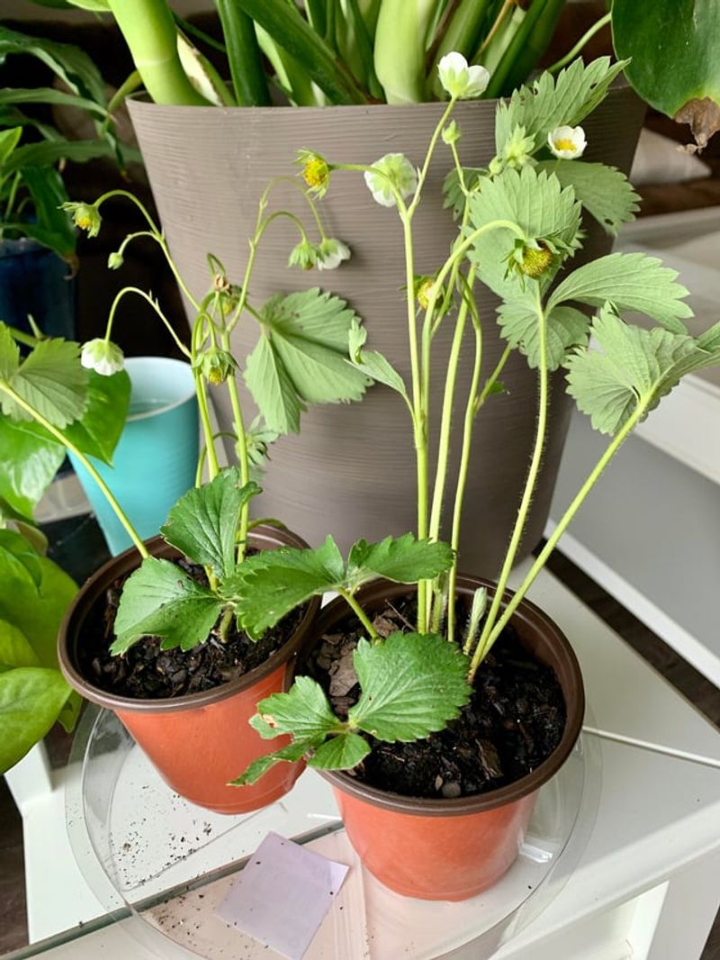 Select Appropriate Containers