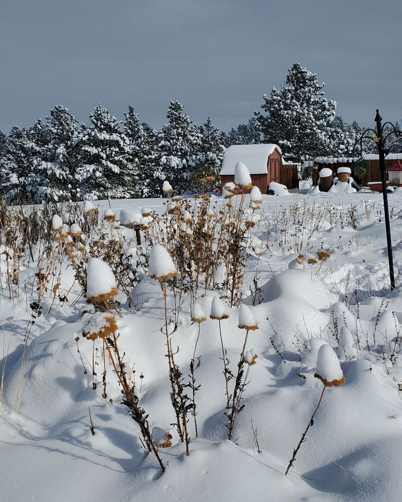 Protecting Garden Soil Structure from Wind Erosion
