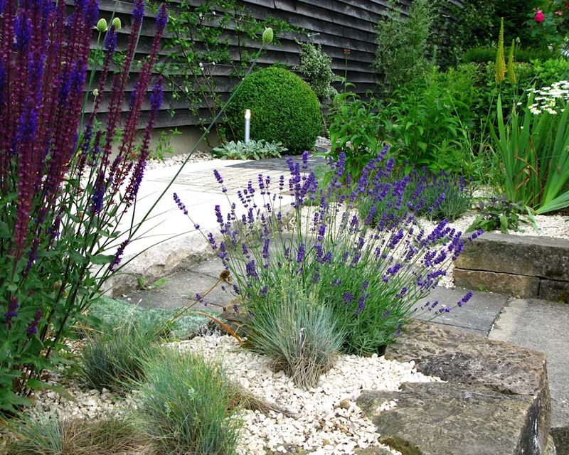 Mulch With Gravel Instead Of Organic Materials