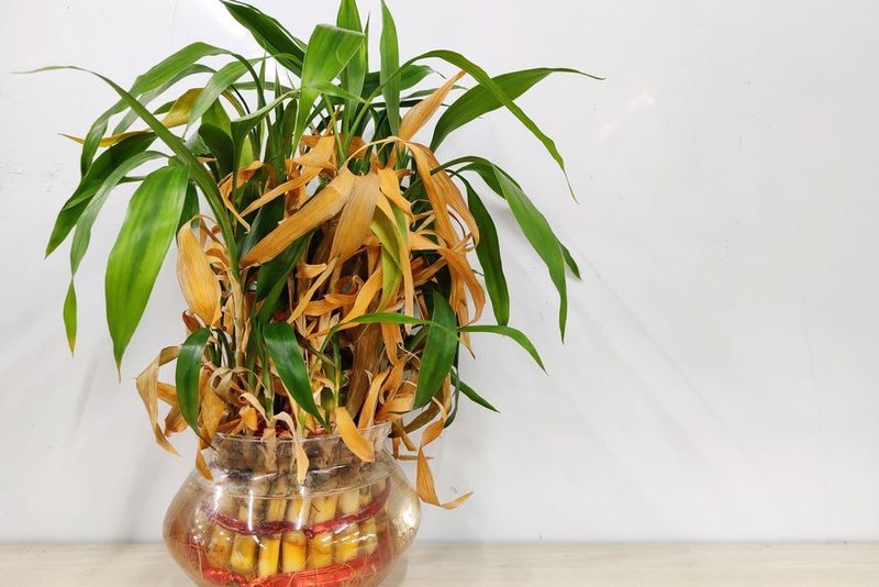 Watch For Common Problems And Fix Them Early