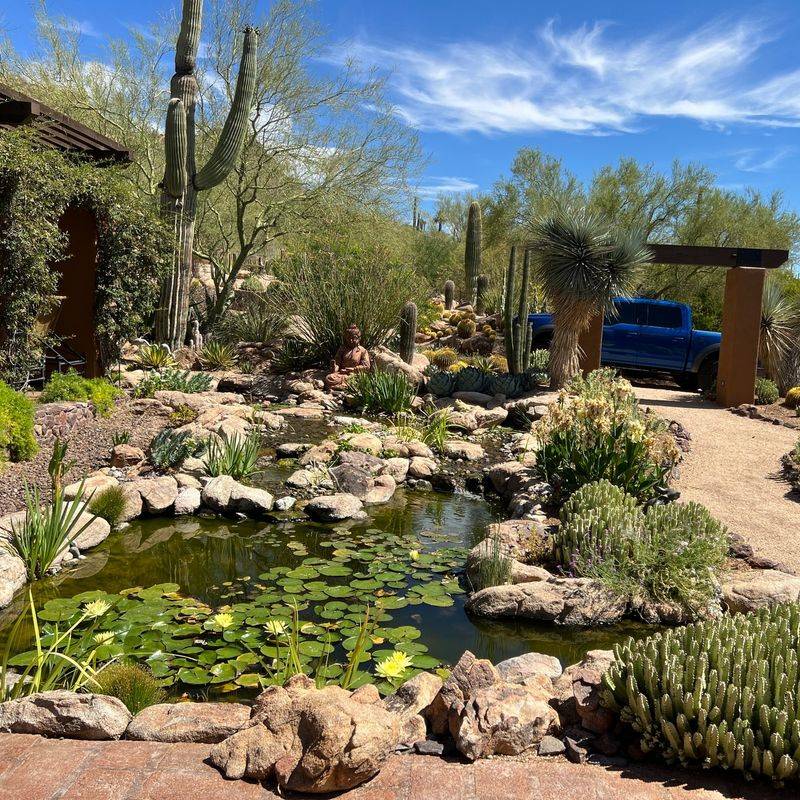 Install A Water Feature For Soothing Desert Ambiance