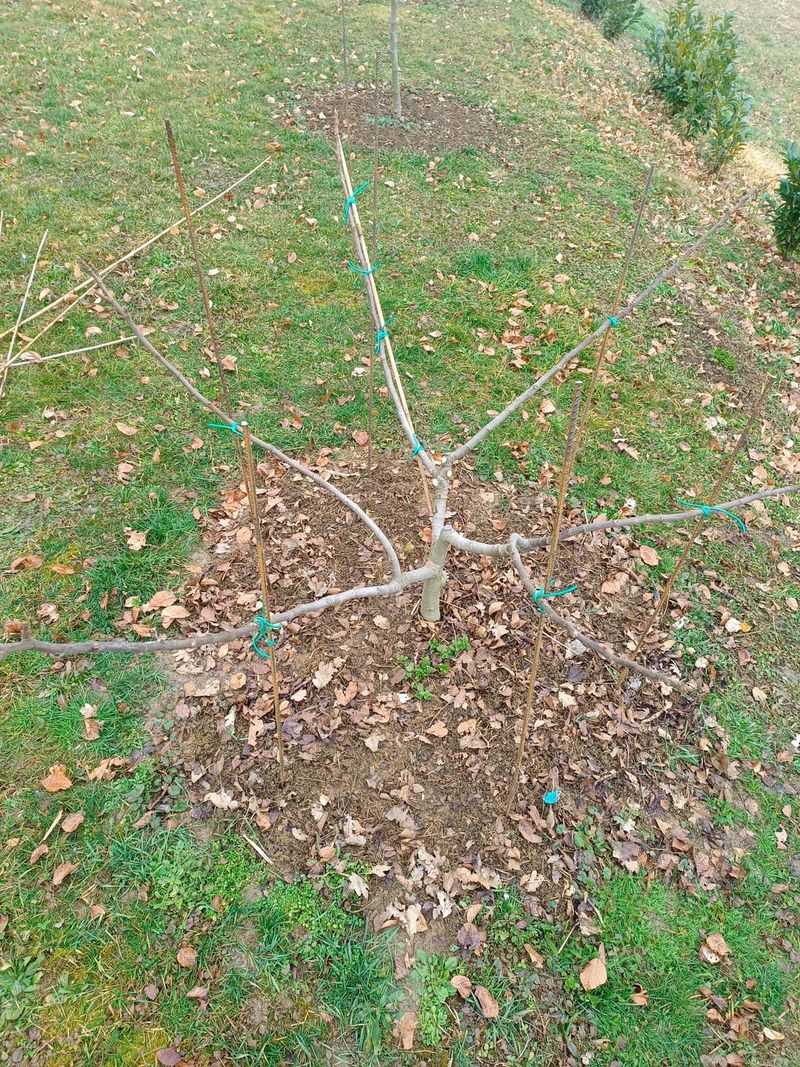 Open Up the Center for Airflow