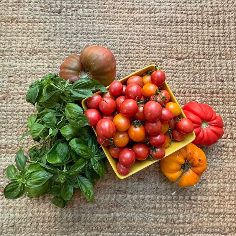 Harvest Often To Encourage Continuous Production