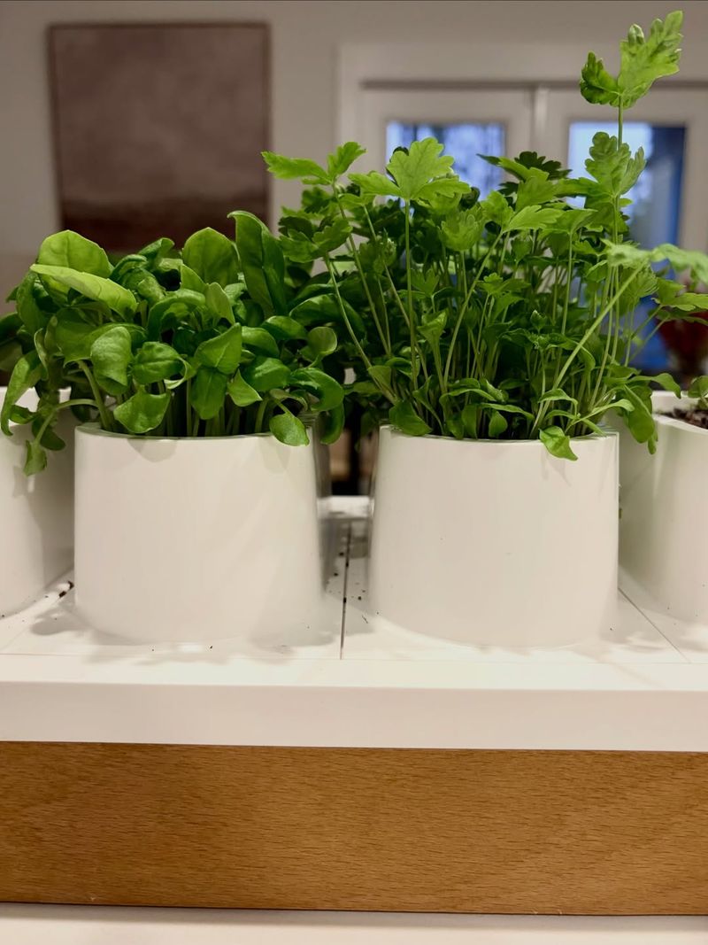 Watch for Pests and Address Problems Quickly