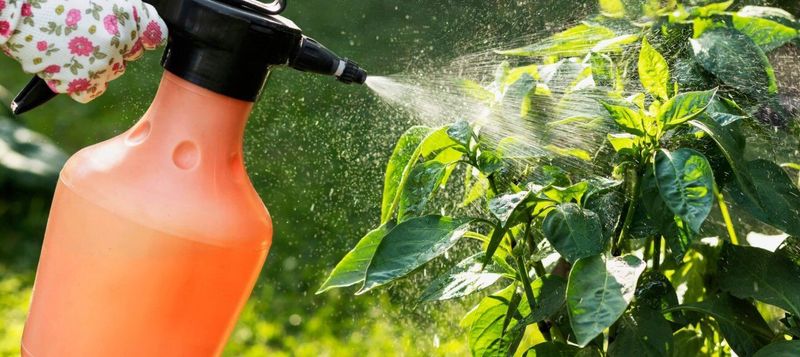 Relying Too Heavily On Chemical Pesticides