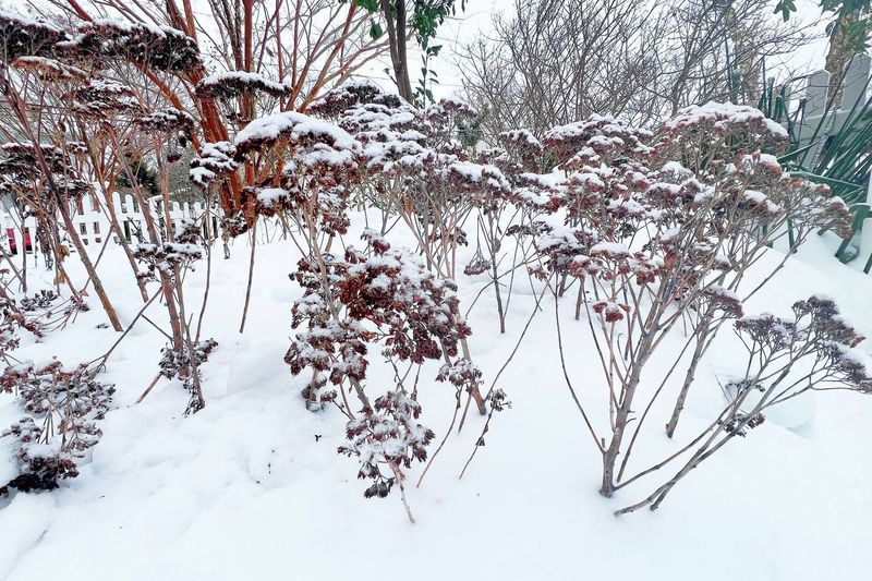 Forgetting To Consider Snow And Ice Load