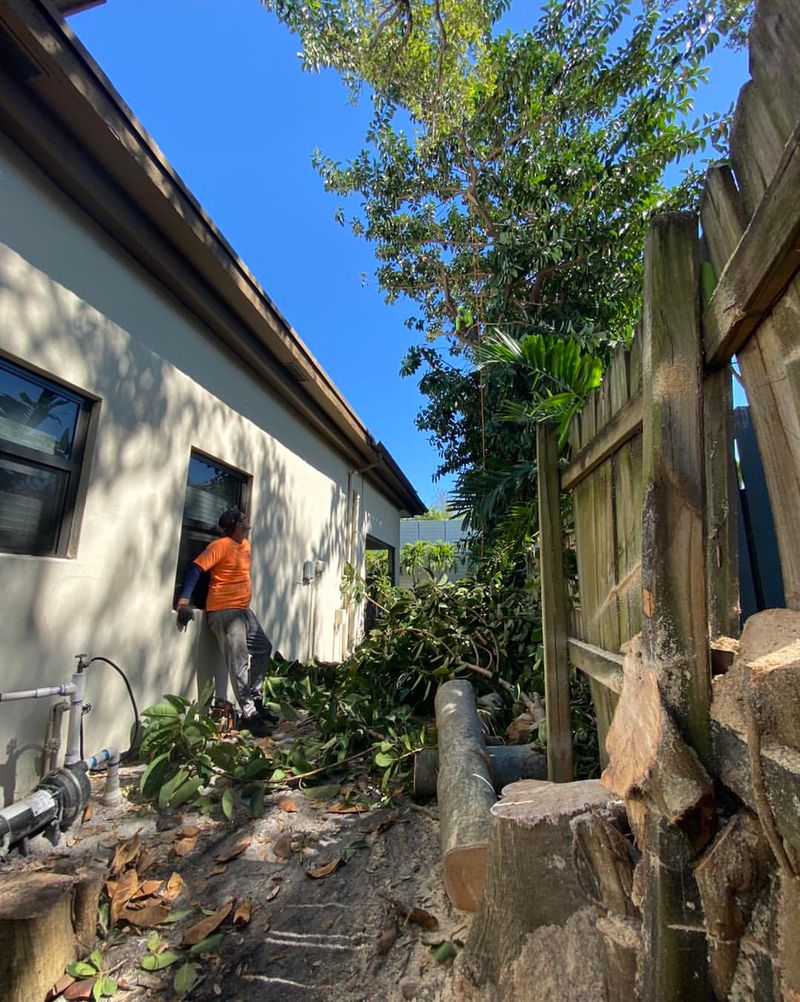 Washington Law Allows Self-Help Trimming