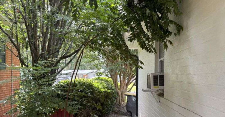 tree branches over fence property line