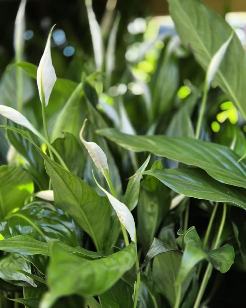 Keeping Cuts Clean And Precise