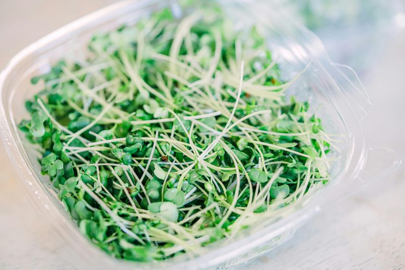Broccoli Microgreens