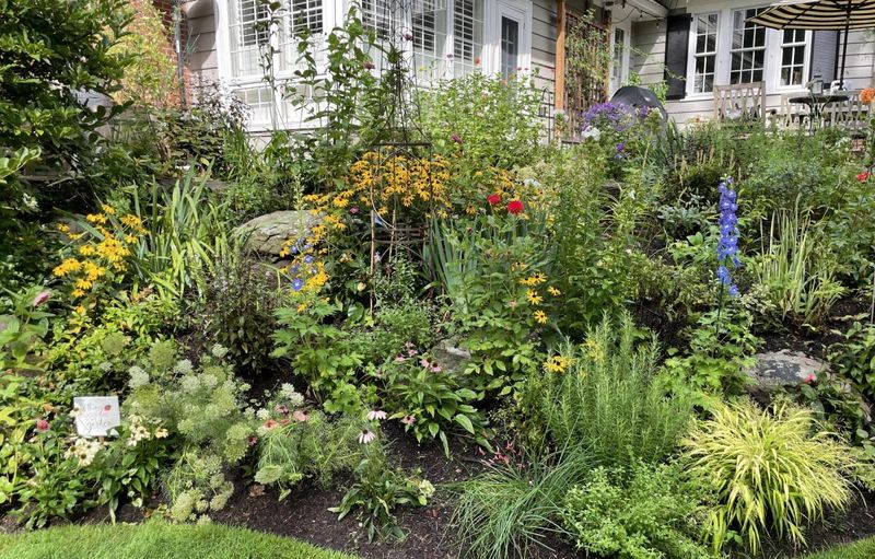 Native Plant Borders For Pollinators