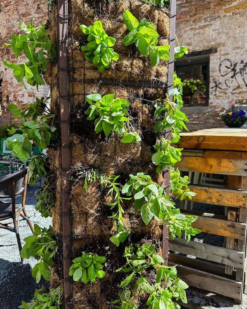 Vertical Gardens and Living Walls