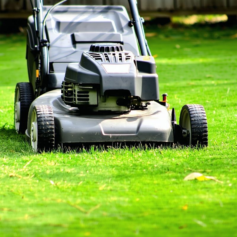 Mow During Mid-Day Hours