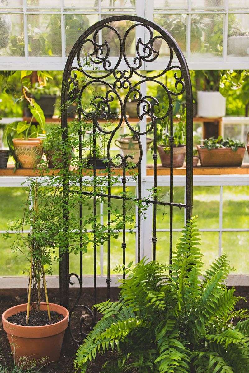 Decorative Trellises That Add Southern Charm