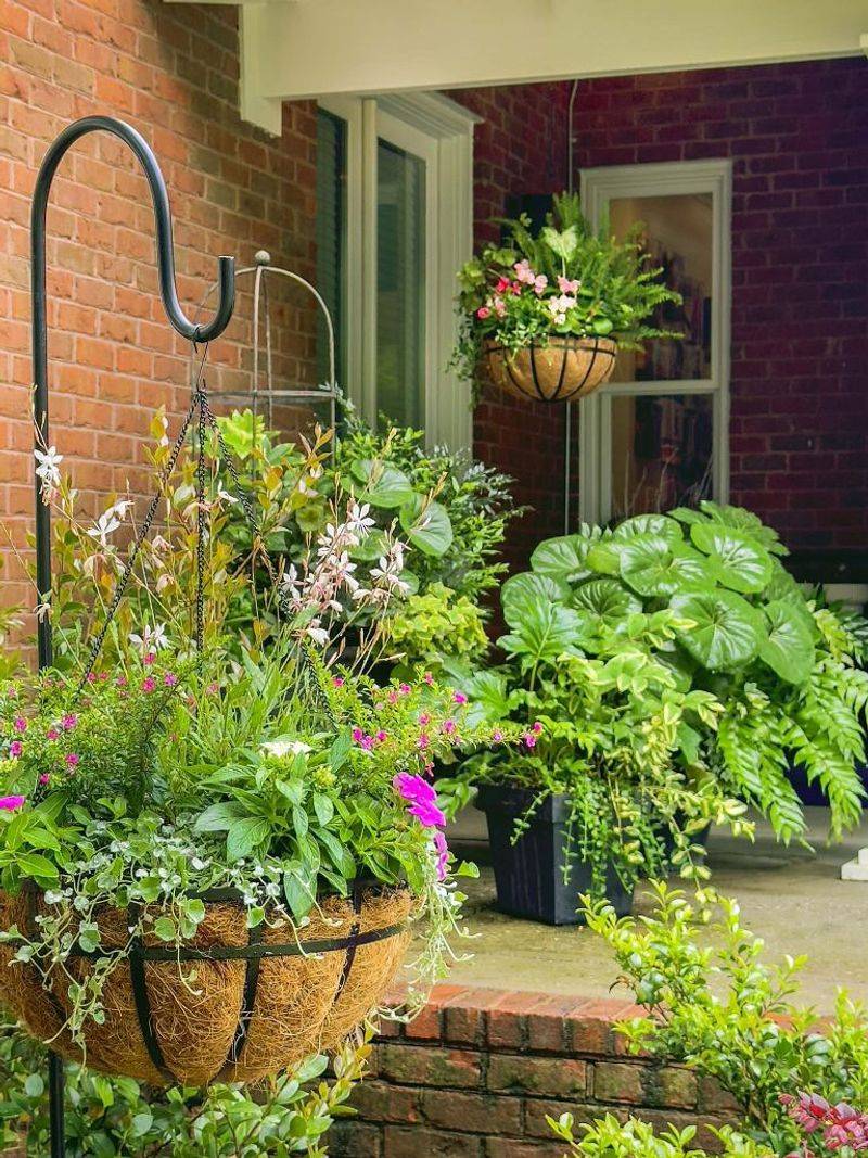 Hanging Baskets Add Color Overhead