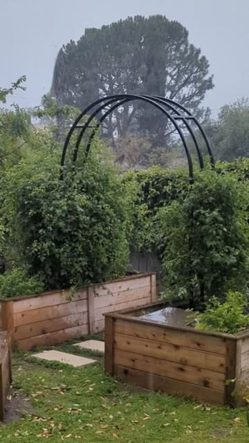 Extra Tall Raised Beds That Stand Out Fast