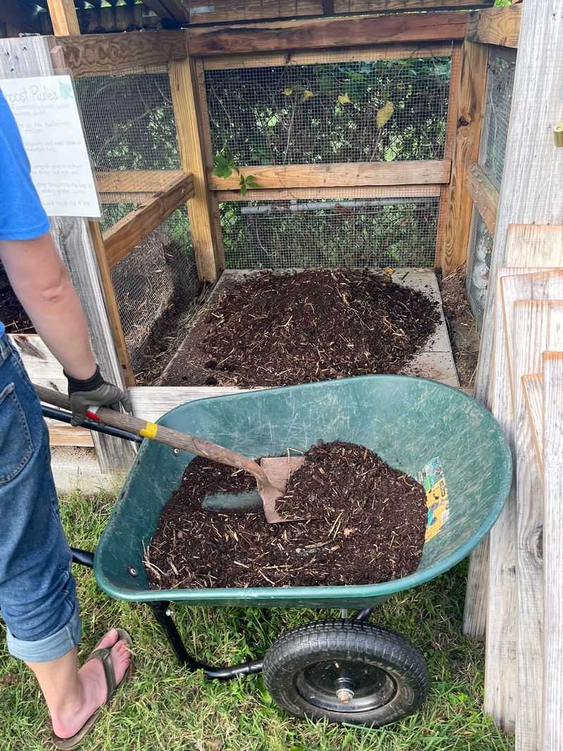 How To Prepare Florida Soil For Salad Crops