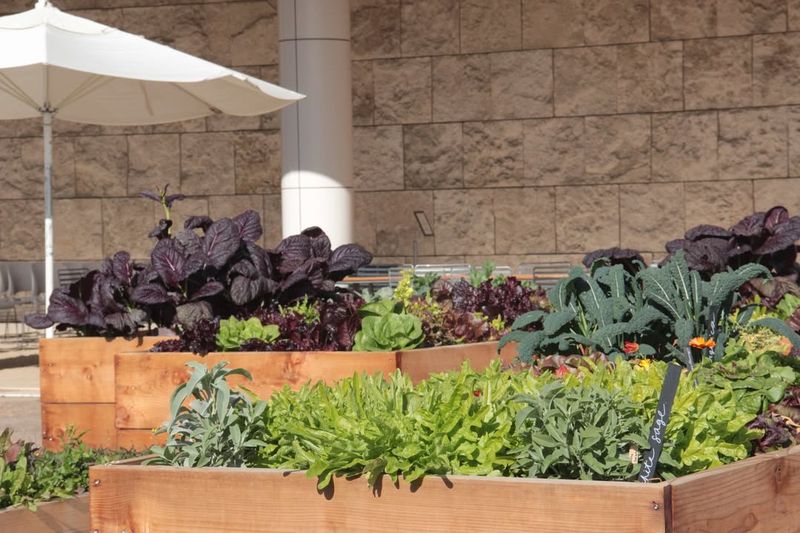 Why California's Mild Winters Make This Chore Easy To Ignore