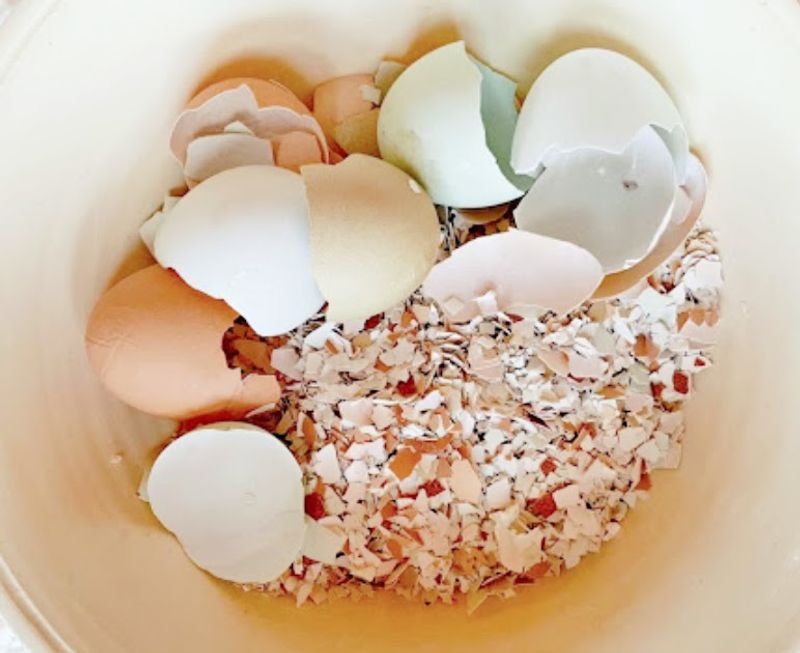 Start Saving Eggshells The Smart Way