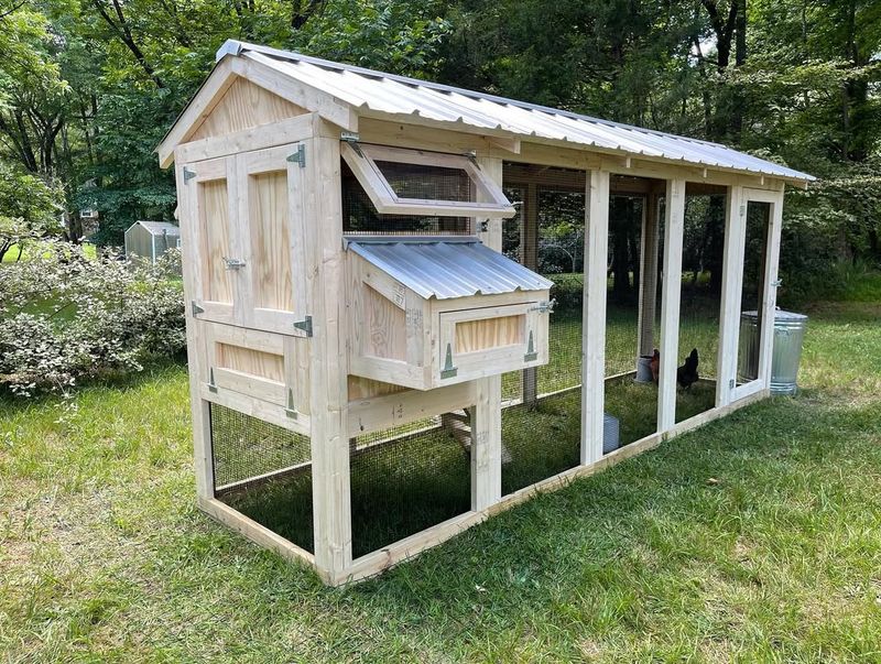 Chicken Coops And Backyard Livestock