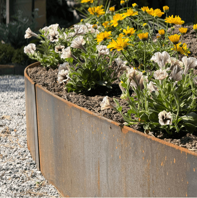 Steel Landscape Edging