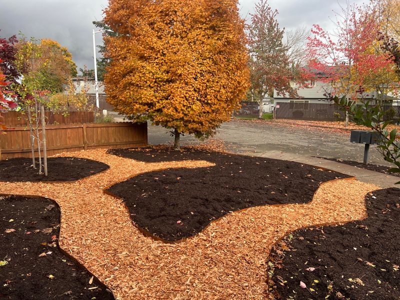 Wood Chip Mulch Trails